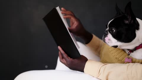 dogs read books !!!