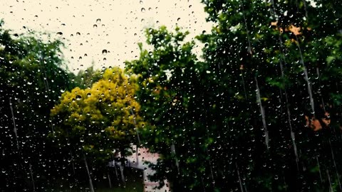 Get rid of insomnia│1Hour of indoor rain sound by the window