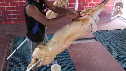 Lechon Baboy - Filipino Street Food