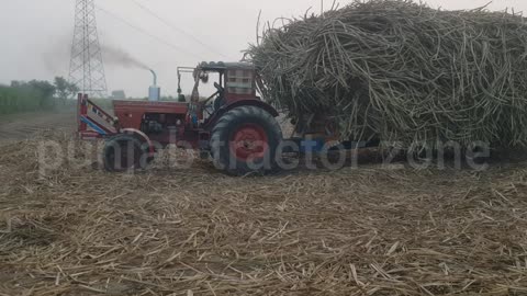 Rusi Balars 510 and Massey Ferguson 360 Turbo pulled the trolley out of the sugarcane field together