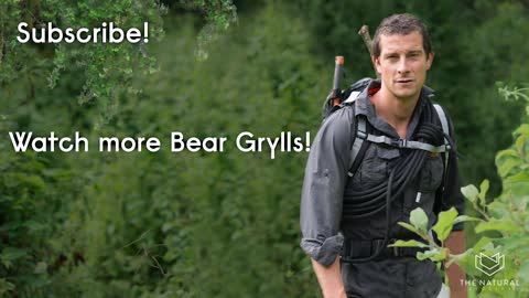 3 Jungle Survival Tips With Bear Grylls | Running Wild | BONUS CLIP