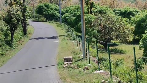 Riding in forest area