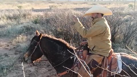 RAW Video Cut - Trail Boss Danny teaches a field class on how to ride a Stud Horse. 🐴🐮🤠👊😎