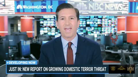 Social Media Sites, DHS, and FBI "Not Doing Enough" to Address Domestic Terror Threat