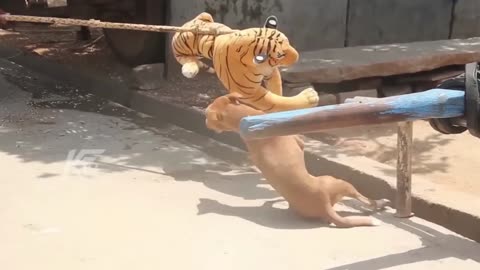 Dog Attacks Fake Tigers Pranks On - Super Funny Video