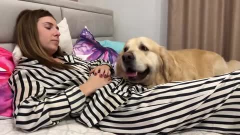 Adorable Golden Retriever shows his love for human mom