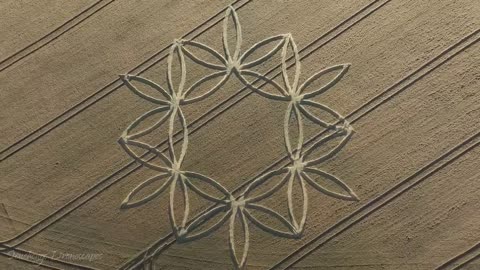 Crop Circle - Scratchbury Hillfort, Near Warminster, Wiltshire, England - 7 July 2023