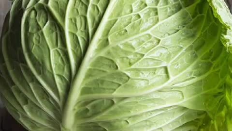 Benefits of Eating Cabbage
