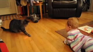 Baby Laughs Hysterically At Cat Chasing Laser