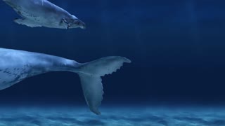 5 Hours of Deep Underwater Whale Sounds for Sleep and Relaxation - [NO MUSIC] - Ambient Sounds