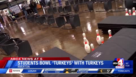 Frozen turkey bowling