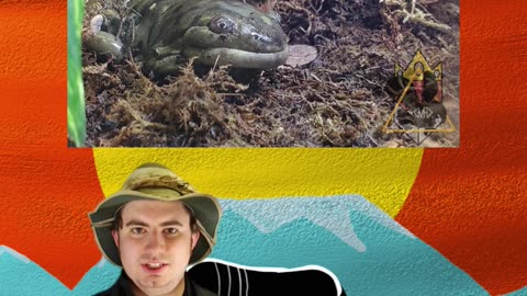 What Is Salamander Skin Like!? | Early Morning Eland 27
