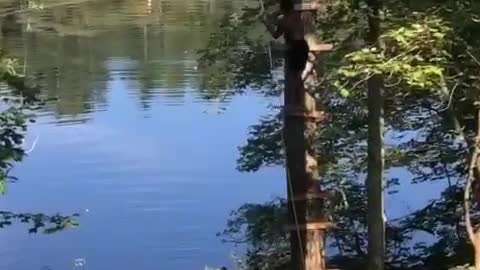 Bad Rugburn on Rope Swing