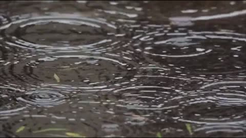 Rain Drops For Focus Study Sleep Relaxation