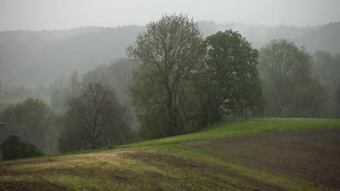 British Countryside Rainy Day