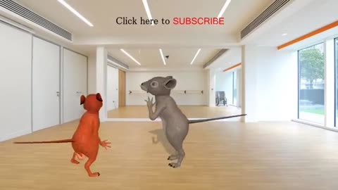 Funny Rat dance