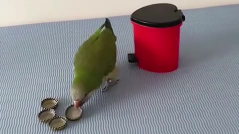 🤩😏Smart Bird❤❤