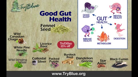 The Dilley Show & TryBlue Gut Health