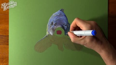 Draw The Shadow Part Of The Fish