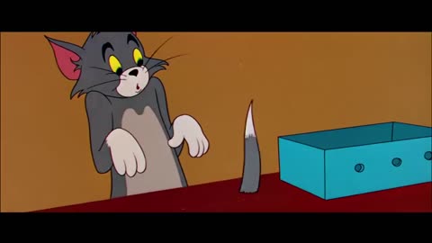 Tom and jerry fun🤣🤣