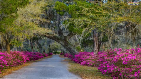 The Most Beautiful Gardens in the World