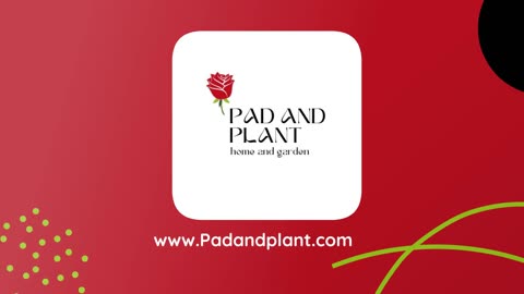 Pad and Plant transforming your home and garden into a stunning oasis