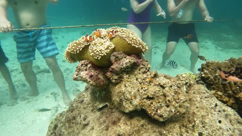 Under Water Boracay Island