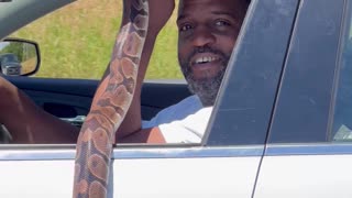 Guy Driving with Pet Snake in Chicago