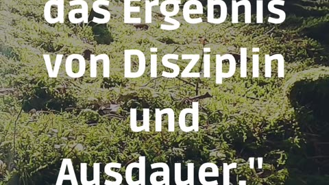 Motivation und Disziplin