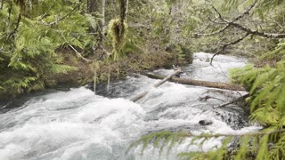 The Wild Raging Incredible McKenzie River – Sahalie Falls & Koosah Falls Loop – 4K