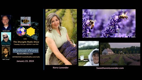 1/23/24 Shungite Reality - Kerry Lavender's Shungite Beehive Experience