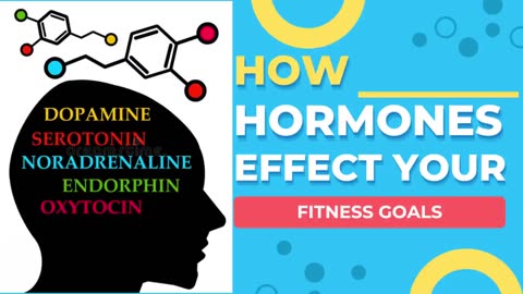 How Hormones Affect Your Fitness Goals | Aaron Wang Experience