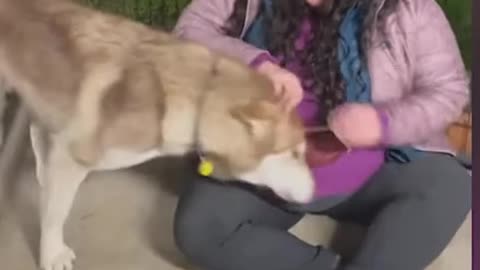 SUPER LAUGH with Funniest Moments Dog and their Human!