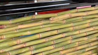 Sugar Cane Juice