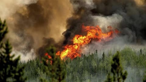 If You Doubt Climate Change - The BC Wildfires Will Convince You!