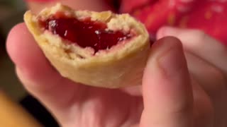 Snack Sized FRuit cherry Pies