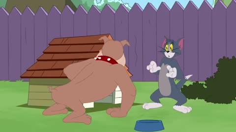 Tom și Jerry Când Spike nu e acasă... Cartoonito