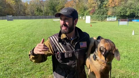 EASY OBEDIENCE TRAINING WITH MY BELGIAN MALINOIS PUPPY! HEEL/ SIT/ DOWN/ STAY