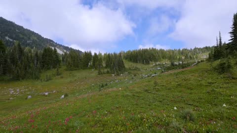 Mount Rainier National Park - Nature Relax Video, Summer Scenery