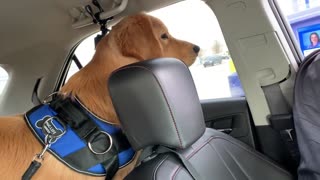 My Dog Reacts to Car Wash