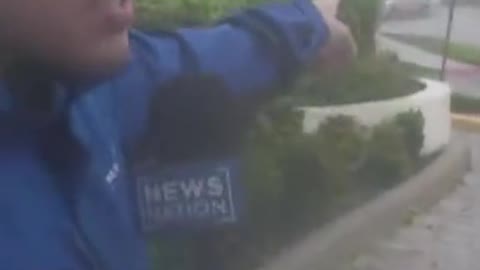 'THERE IT GOES': TREE FALLS NEAR REPORTER AS HURRICANE IAN MOVES IN