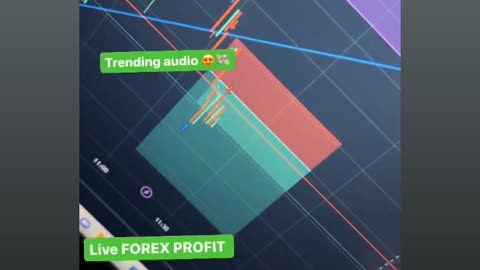 FOREX TRADING LIVE PROFIT