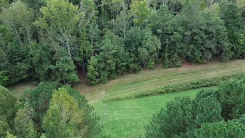 Drone Flying over Creek in the Forest