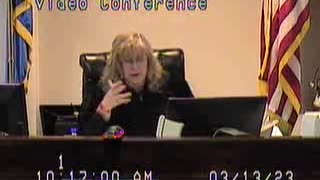 Loftis Matter before Michele Mercer Family Court Judge Clark County Nevada part 1-2