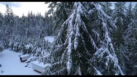 Maple Valley Snow Jan. 3, 2022