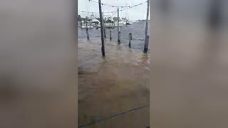 Storm Nicole surge floods restaurant in Florida