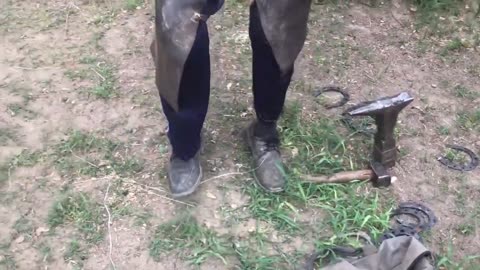 farrier hoof restoration satisfying