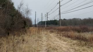 My Yard trail out to power lines 1