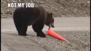 It's not my job. [Bear's Work]