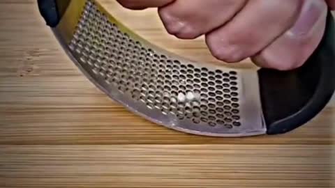 Stainless Steel Garlic Press - Sprinting Home